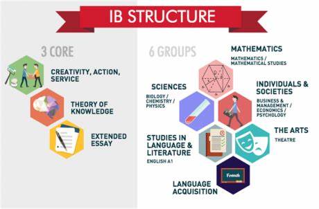 各大熱門IB科目內(nèi)容及特點(diǎn)解析，哪個7分率更高？