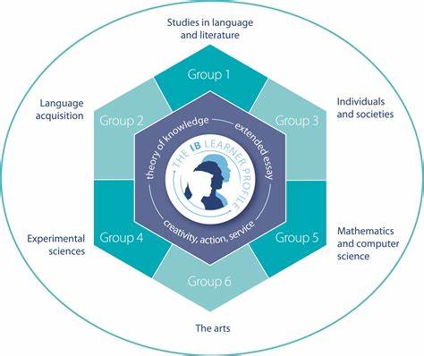 各學(xué)科IB課程選課指導(dǎo)建議分享