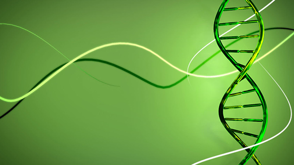 ib生物輔導(dǎo)：帶你來解析水在生物學(xué)中的應(yīng)用！