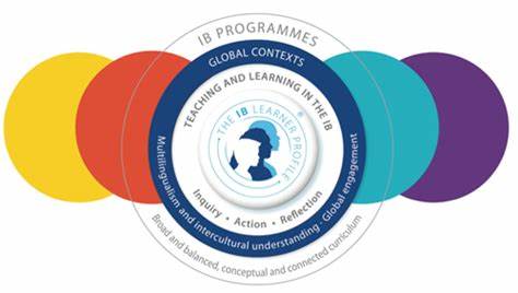 IB課程優(yōu)勢這么多，你知道嗎？